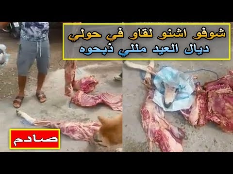 العثور على أضحية مذبوحة في القمامة