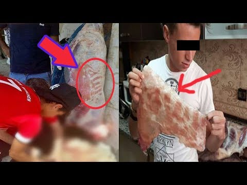 شاهد مفاجأة بكلمة مكتوبة على لحم خروف بعد ذبحه
