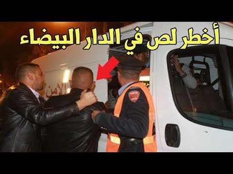 بالفيديو  إحالة لص خطير إلى محكمة عين السبع الابتدائية