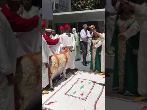 شاهد مليونير من فاس يُقلِّد الملك في ذبح الأضحية