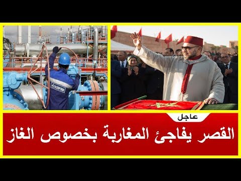 محادثات بين الملك محمد السادس ورئيس جمهورية نيجيريا