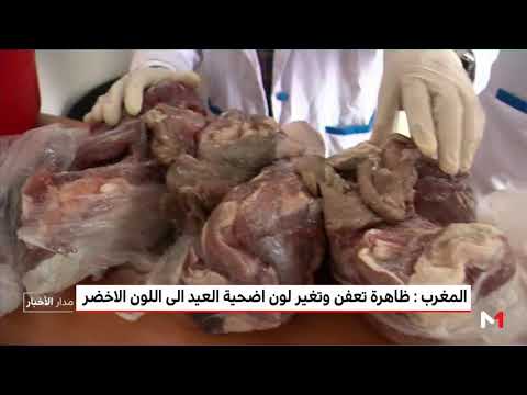 شاهد أسباب تعفن وتغير لون لحم الأضحية إلى اللون الأخضر