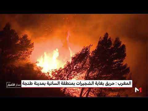 شاهد نشوب حريق بغابة الشجيرات شرق مدينة طنجة