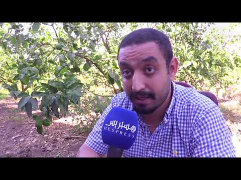 شاهد أسباب تعفّن لحوم الأضاحي في عيد الأضحى المبارك