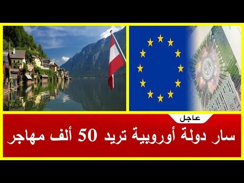 شاهد دولة أوروبية تريد 50 ألف مهاجر لتعزيز سوق العمل
