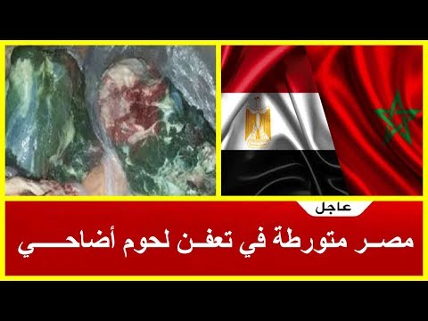 شاهد مصر متورطة في قضية تعفن لحوم الأضاحي في المغرب