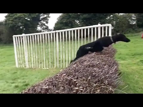 شاهد حوار نادر بين تماضر توفيق ويوري جاجارين