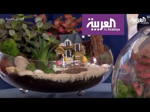 الحدائق المصغرة في أحواض زجاجية تطغى على النباتات التقليدية
