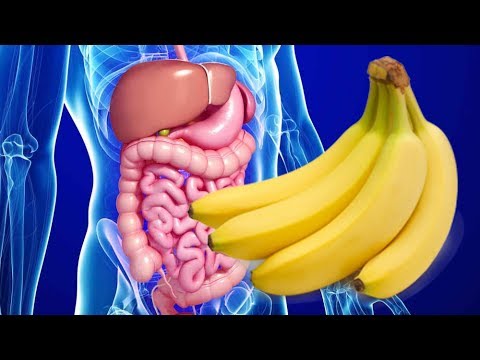 بالفيديو  الخبراء يؤكدون أهمية تناول الموز في الصباح