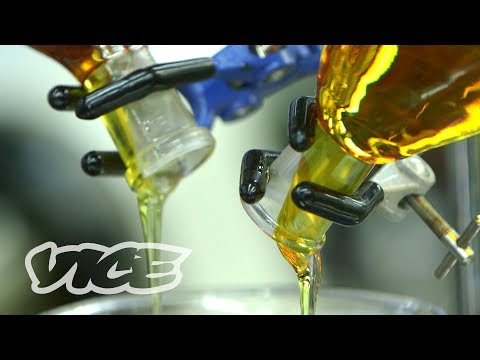 تعرف على استخدام الحشيش في علاج بعض الأمراض