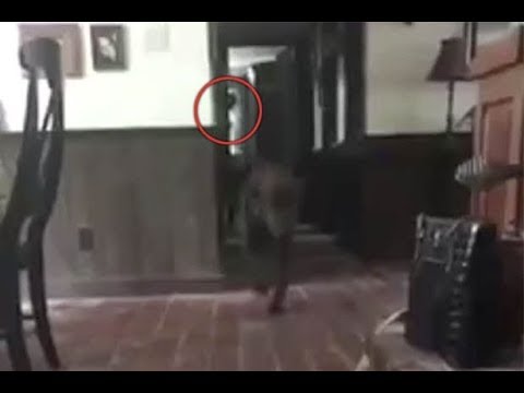 كاميرا ترصد عفريتا يتحرك داخل منزل