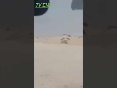 شاهد فيديو مسرَّب لجبهة البوليساريو به مفاجأة كبرى
