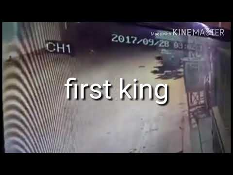 شاهد مَشهد نادر لسمكة تجمّدت أثناء التهام أخرى