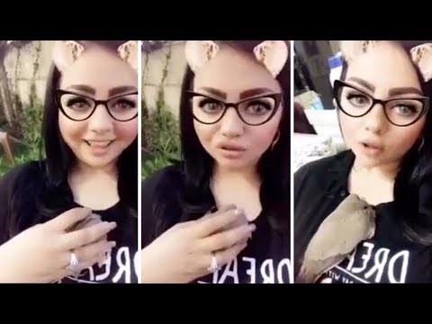 جيهان هاشم تلاعب الحمامة فختاية ونامت على صدري