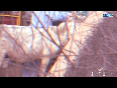 شخص مهووس جنسيا يغتصب الحيوانات حتى الموت