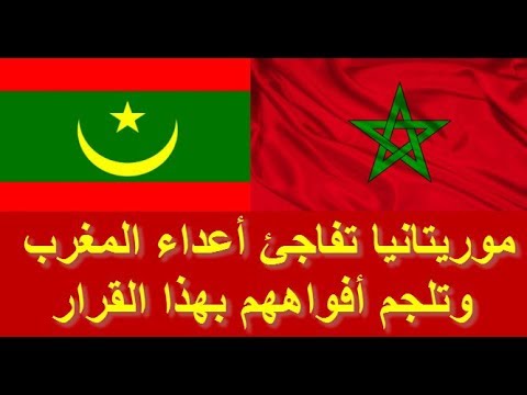 بالفيديو  اعتماد حميد شباط سفيرًا للمغرب لدى موريتانيا