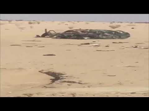 شاهد سنابشات يقتل شخصين بطريقة مروعة في السعودية