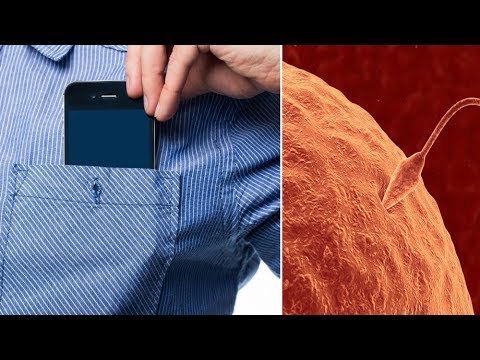 شاهد هل تعلم 10 أشياء تفعلها يوميًا تدمر رجولتك تمامًا