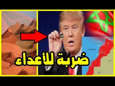 شاهد وفد أميركي رفيع المستوى يتوجه إلى الداخلة المغربية