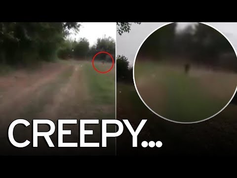 فتيات يصرخن من الرعب بعد رؤية «عفريت» في حقل