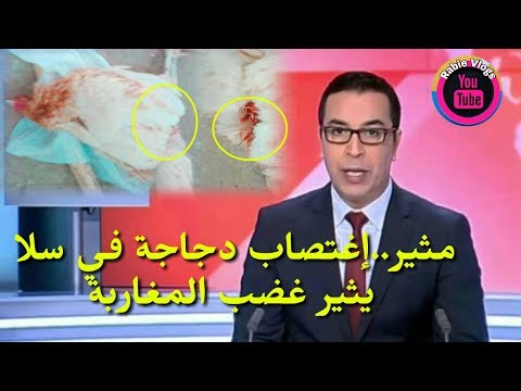 شاهد إغتصاب دجاجة في سلا يثير غضب المغربيين