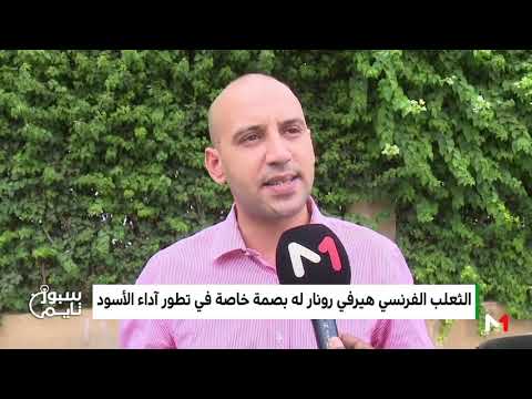 شاهد أسود الأطلس يبحثون عن حُسن الختام لرحلة التأهل للمونديال