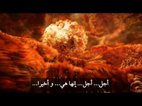 كيفية التخصيب وصراع الحيوانات المنوية للوصول للبويضة