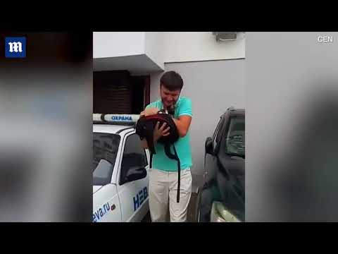 رجل ينقذ قطة لحظة سقوطها من نافذة