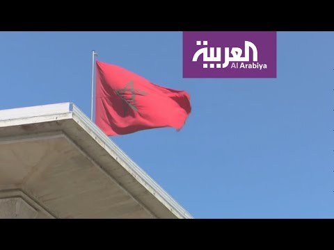 الحشيش يشعل الغضب المغربي من الجزائر وردود فعل قوية