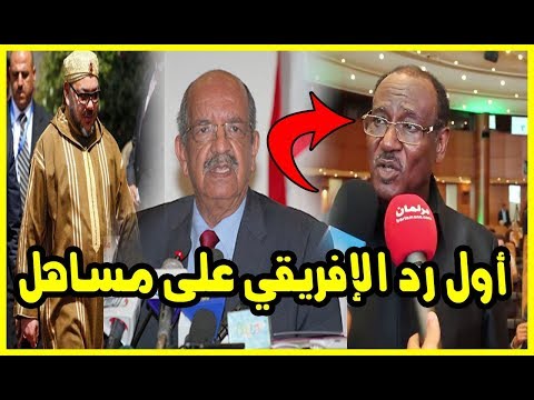 شاهد الديبلوماسيون الأفريقيون في الرباط  يردّون على عبد القادر مساهل
