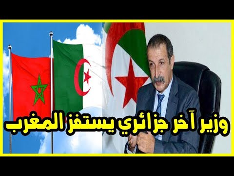 كعوان يؤكّد أنّ إعلاميين جزائريين يتقاضون أموالًا من المغرب مقابل الدفاع عنه