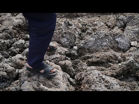 شاهد مخلفات المنطقة الصناعية تلوث وسطًا طبيعيًا في القنيطرة