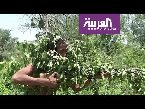 أنصار جماعة الحوثي يجبرون الأطفال على التجنيد