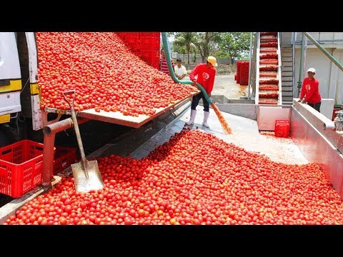 أسرع وأفضل 10 عمال في العالم