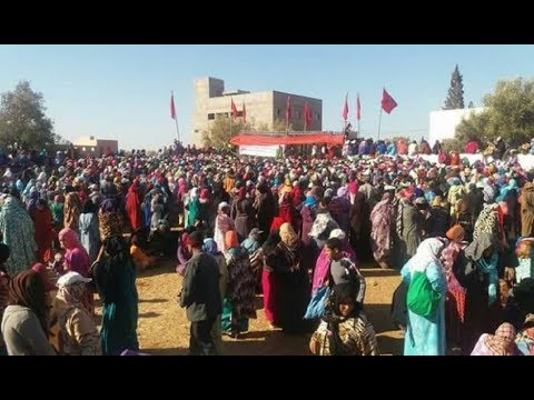 شاهد العدوي تتعهد بقطف الرؤوس الفاسدة