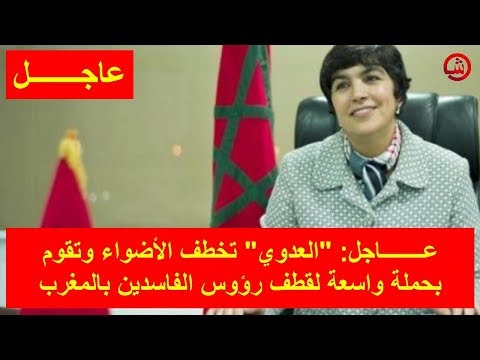 شاهد  إنجازات زينب العدوي تخطف الأضواء