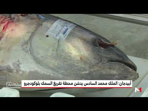 شاهد العاهل والرئيس الإيفواري يدشنان محطة مجهزة لتفريغ السمك