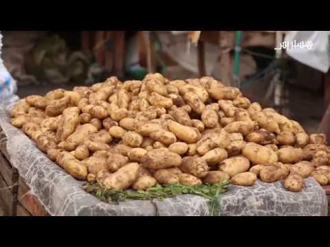 تعرف على أسعار الخضار في الرباط