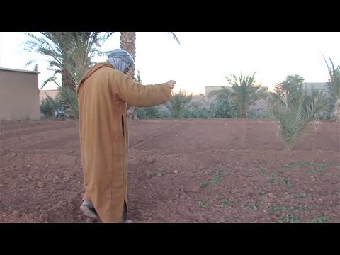 شاهد التساقطات المطرية الأخيرة انطلاقة جديدة للموسم الفلاحي الحالي وزير