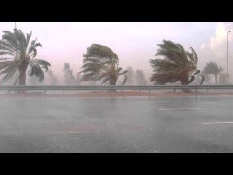 شاهد التأثيرات الإيجابية الأولى للتساقطات المطرية في المغرب