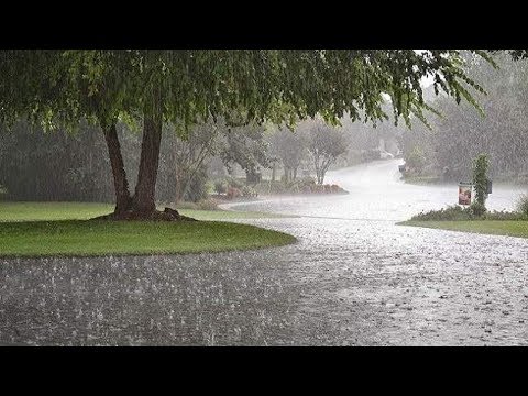 شاهد وزارة الفلاحة تعلن هذا الخبر المهم للمغاربة