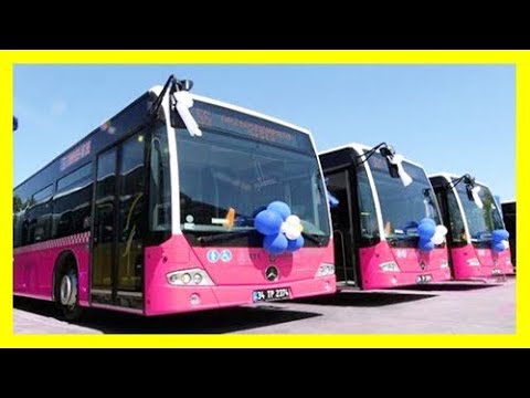 بالفيديو  المغرب يفاجئ الجزائر ويخصص حافلات خاصة بالنساء