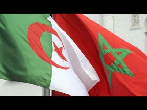 تجمع عالمي يقوده مغربي يطالب بوتفليقة بفتح الحدود بين الجزائر والمغرب
