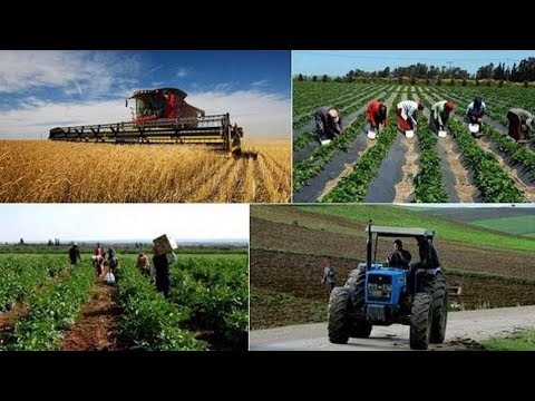 الأرصاد الجوية المغربية تكشف عن هطول الأمطار الأخيرة