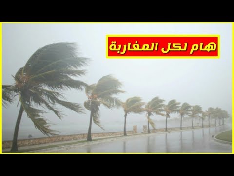 شاهد رياح قوية في مناطق عدة داخل المغرب