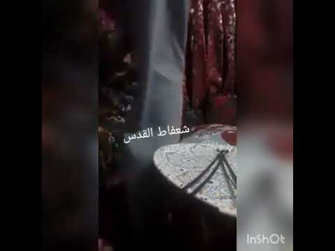 شاهد ابن عاق يضرب والدته وهي تبكي وتطلب الاستغاثة