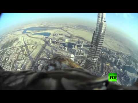 شاهد لقطات مختلفة لنسر برج خليفة يصور أنحاء دبي