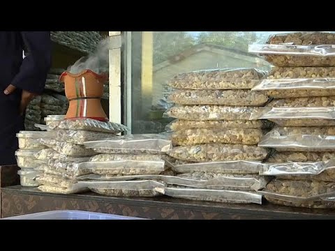 شاهد تجارة اللبان العُماني الفاخر التي تعود إلى آلاف السنين