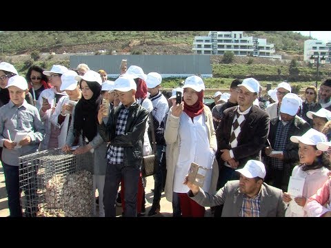 شاهد أنشطة لمؤسسة محمد السادس لحماية البيئة