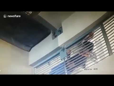 سجينان يهربان من حبسهما